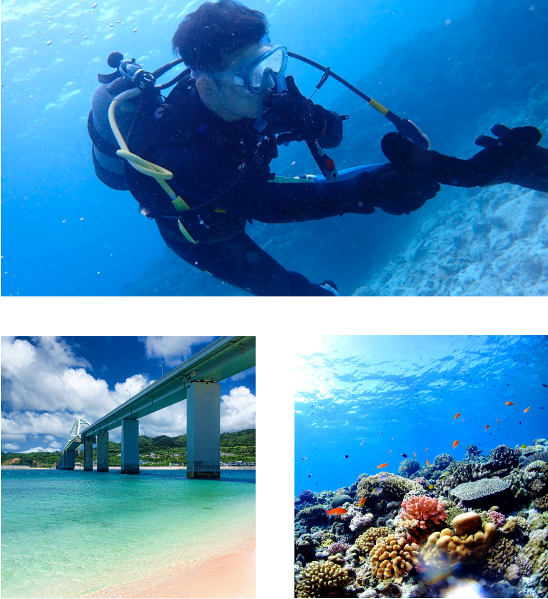 コンセプト | 美ら海ダイブ MORGAN（モルガン）